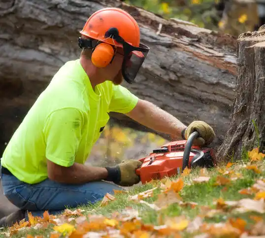 tree services Vernon